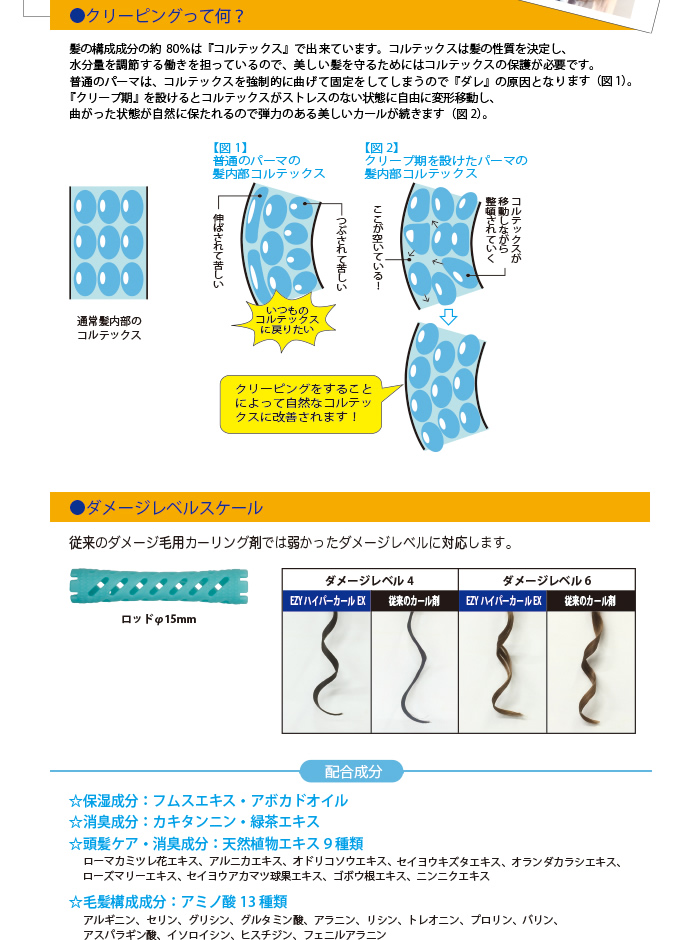 ダメージレベルスケール