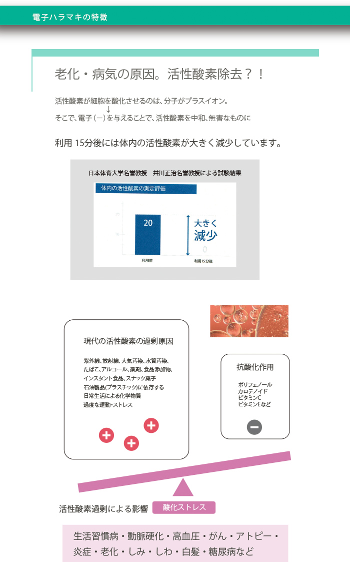 電子ハラマキの特徴